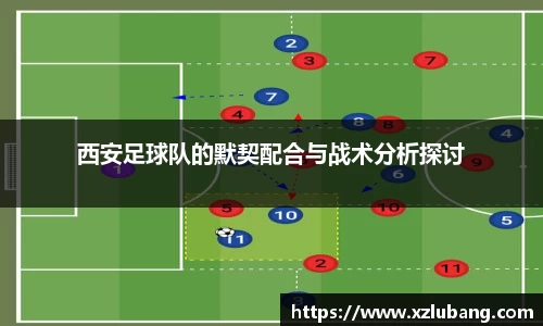 bellbet贝博APP