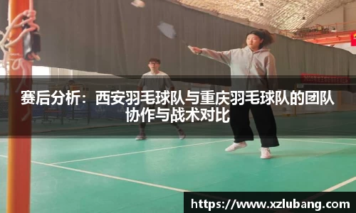 bellbet贝博官网