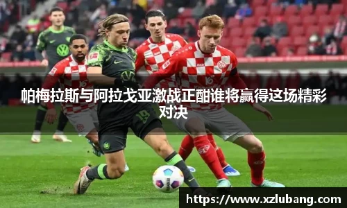 bellbet贝博官网